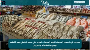 مفاجأة في أسعار السمك اليوم السبت.. تعرف على سعر البلطي بعد تخطيه البوري والمكرونة والمرجان